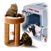 pets graphic